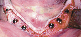 Теоретический и практический курсы