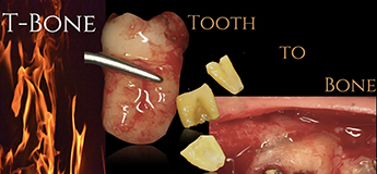 Клинический практический курс АутоЛогичная стоматология Клинический практический курс АутоЛогичная стоматология